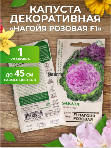 Набор семян цветов "Капуста декоративная №2" фото 2