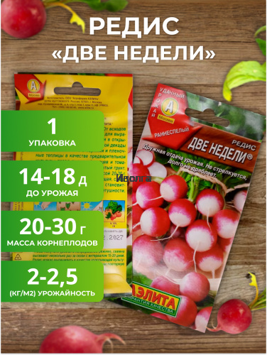 Набор семян редиса "Самый первый урожай" фото 2 Набор семян редиса "Самый первый урожай" фото 2