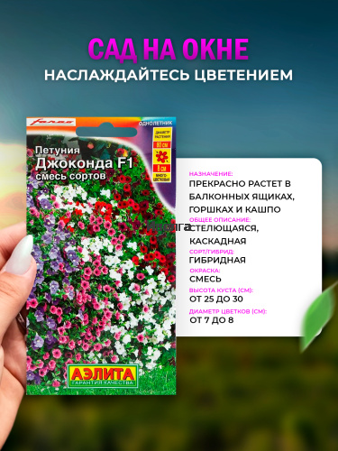 Набор для выращивания петунии "Джоконда" Смесь сортов фото 2