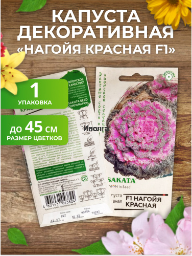 Набор семян цветов "Капуста декоративная №2" фото 3